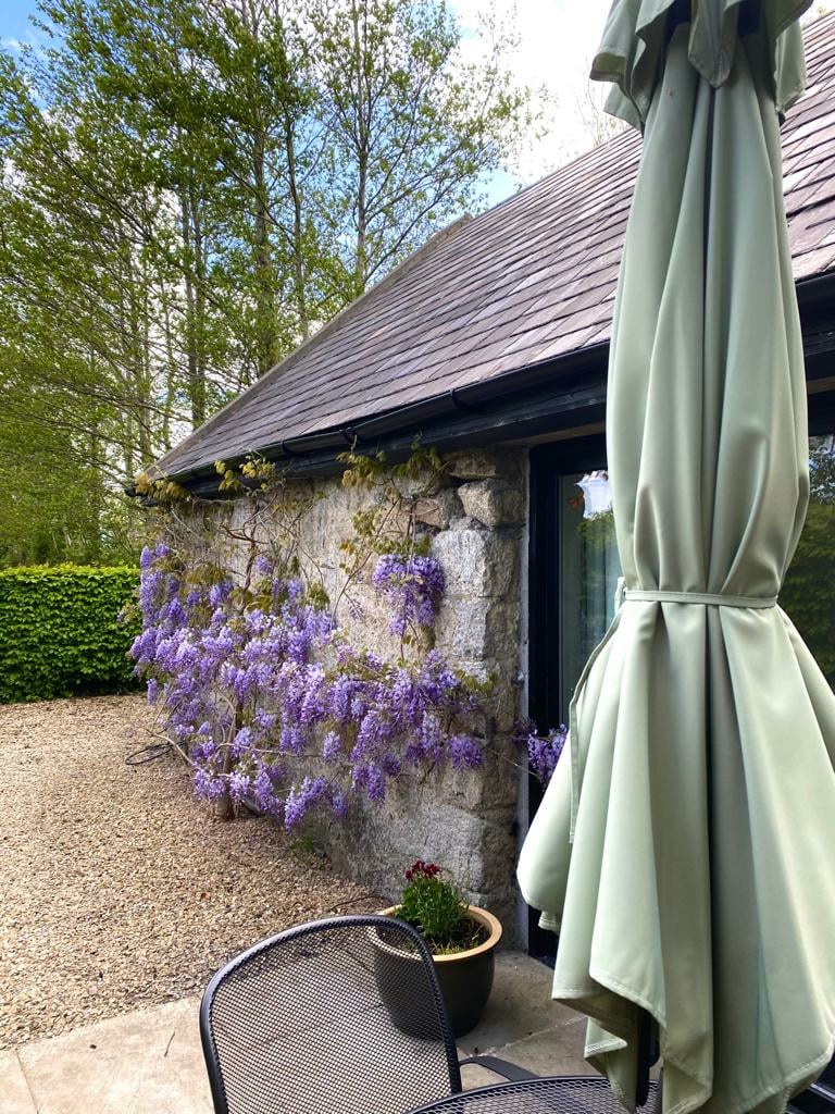 A stone wall is adorned with blooming wisteria, creating a vibrant display of purple flowers. In the foreground, a patio umbrella and outdoor seating are positioned on a gravel surface, surrounded by lush greenery, contributing to a serene outdoor atmosphere.