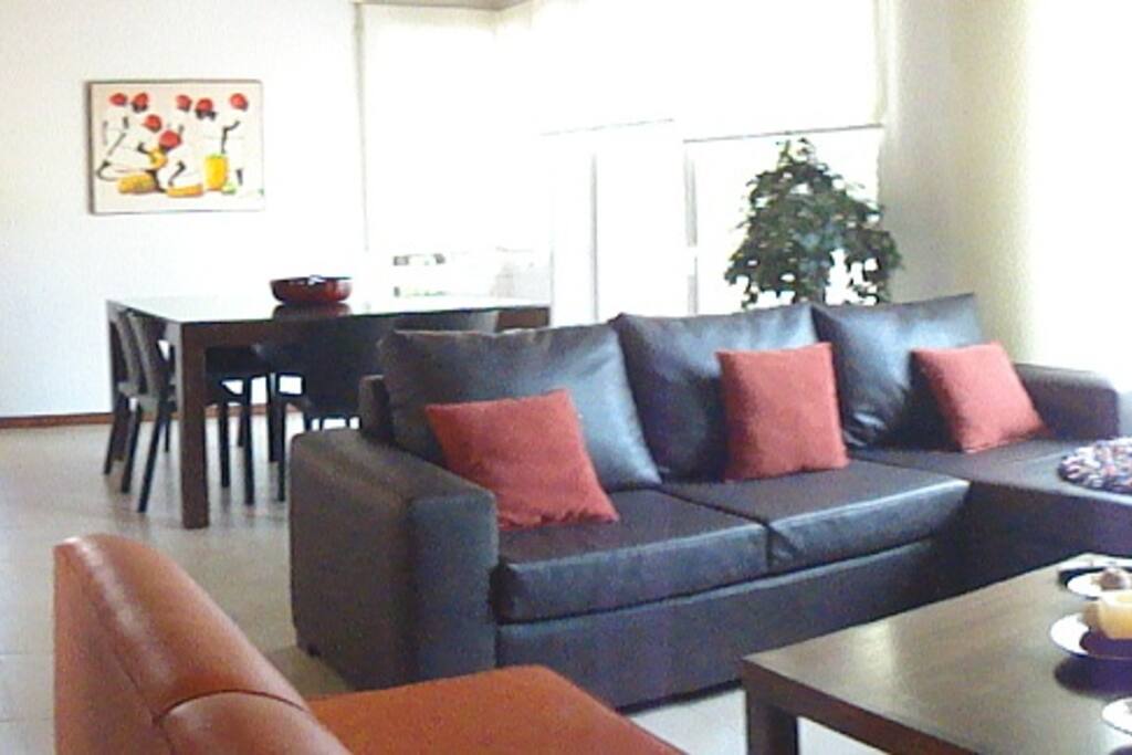 Luminoso living comedor con vista al parque