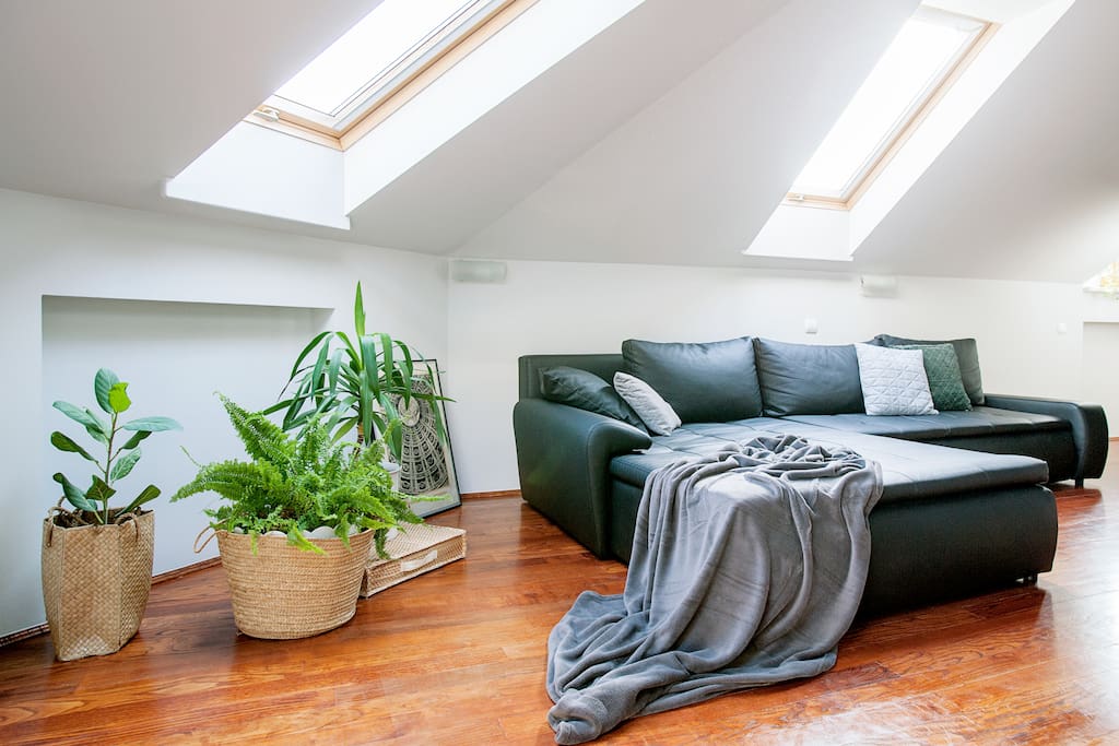 Kwiaty i sofa w Ludwinowskim Apartamencie.
