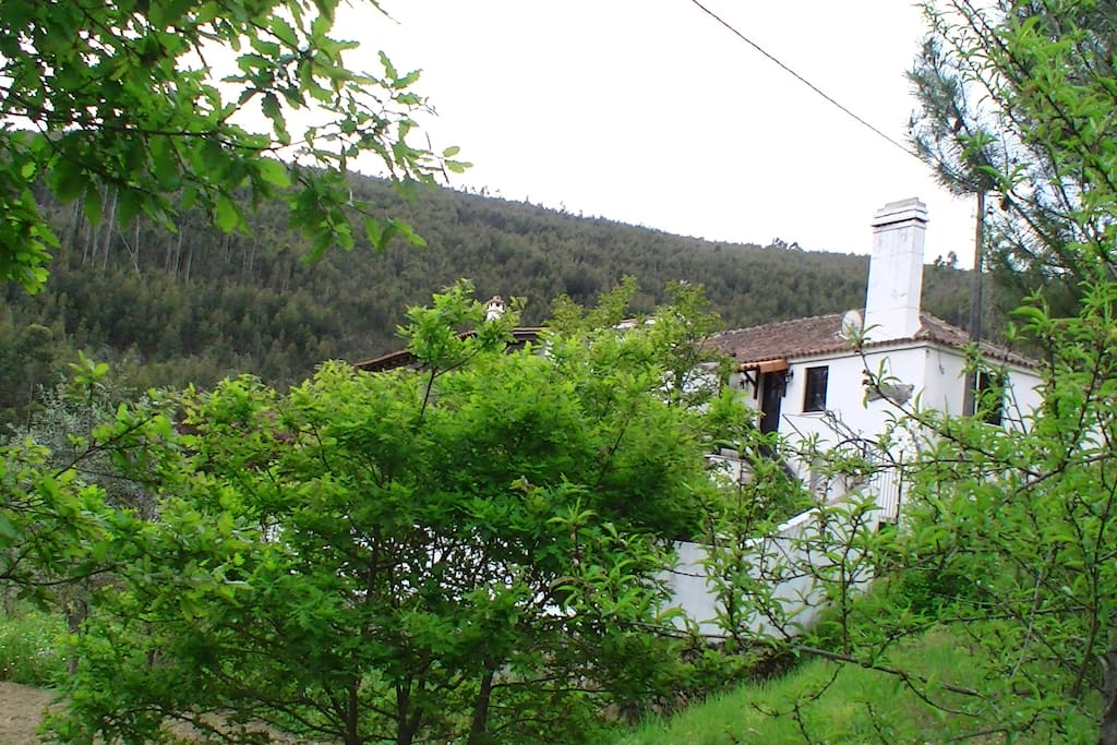 O exterior