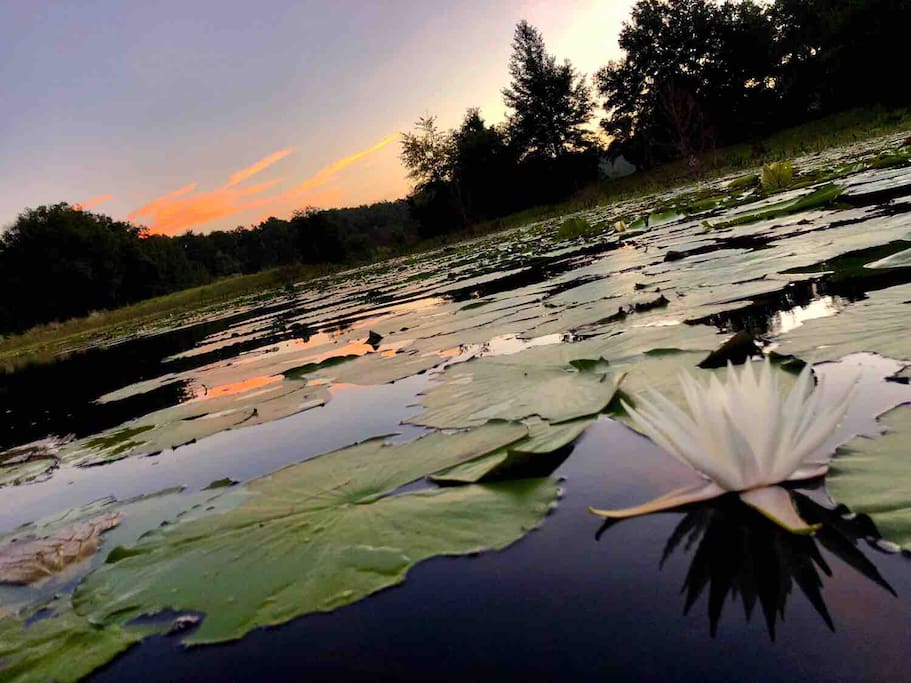 Photo taken by blissful guests at sunrise in the canoe.