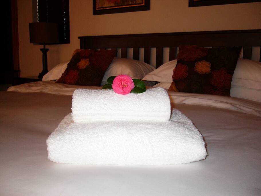 Honeymoon Suite - Welcome!