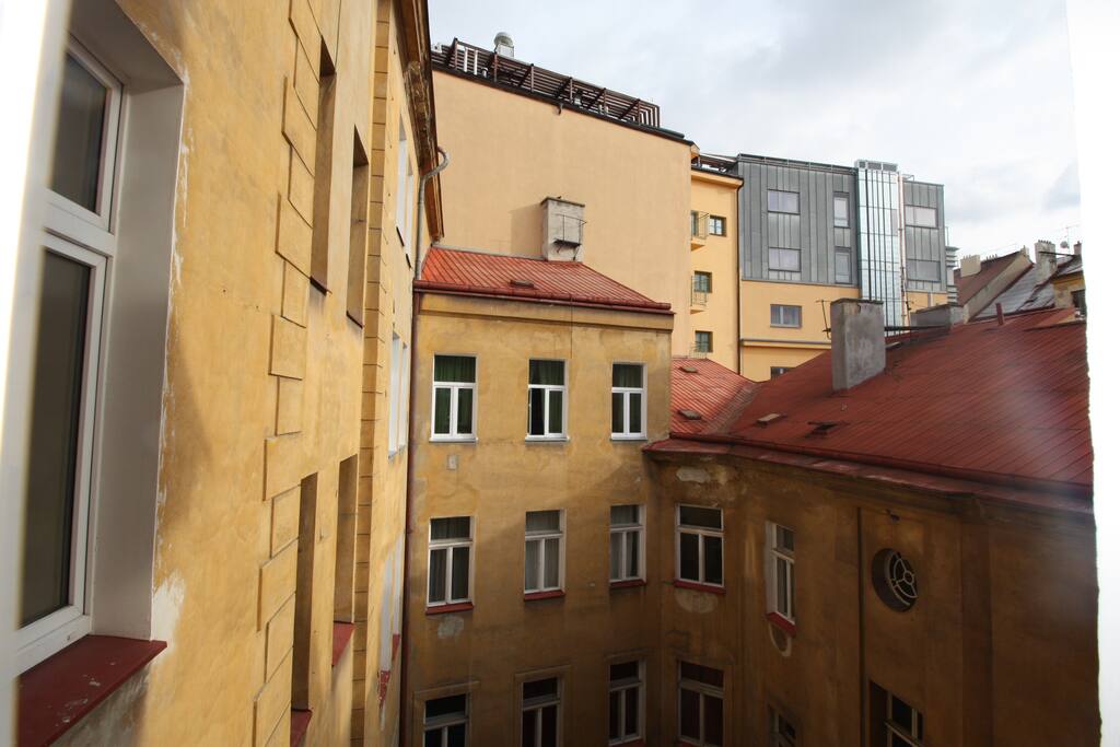 view from window