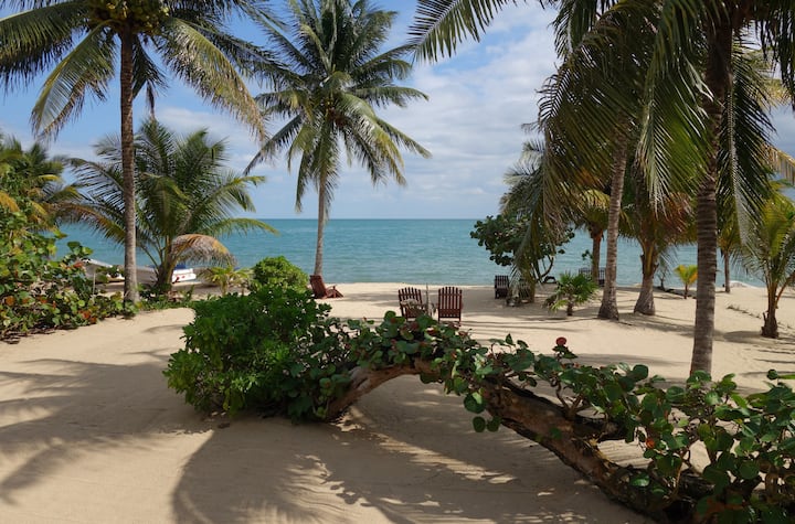 Beachfront guest suite w/private bath. "Seafish"