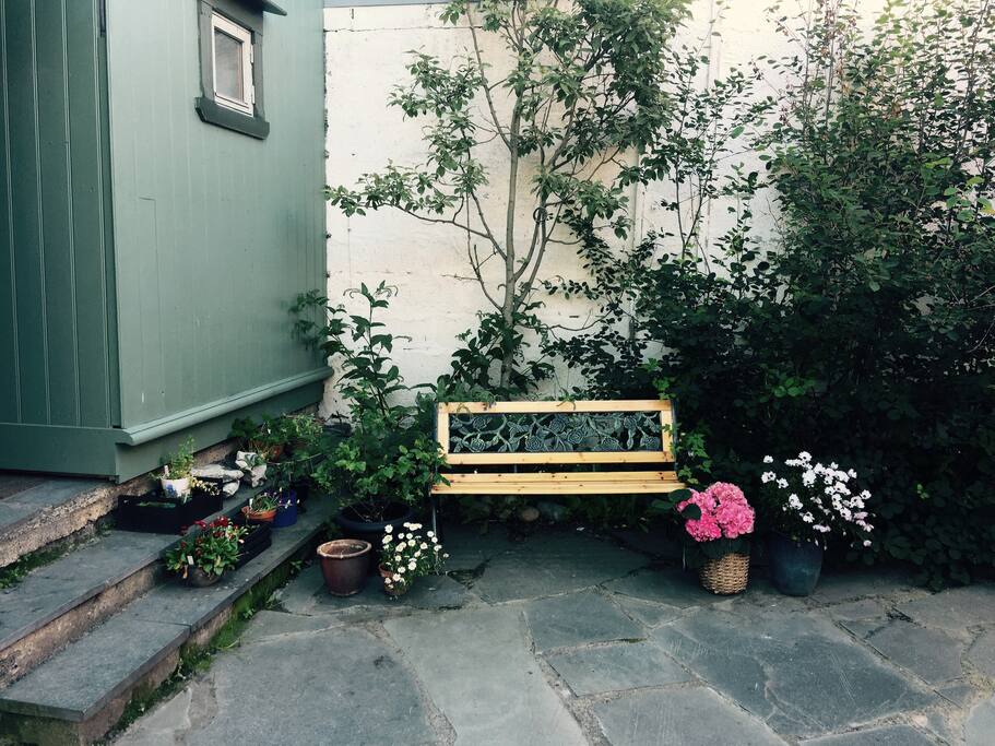 yard