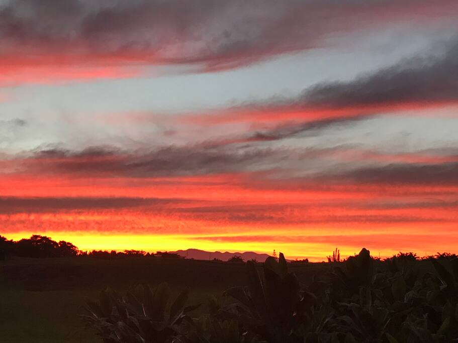 Sunset over Mauna Kea in the distance.
