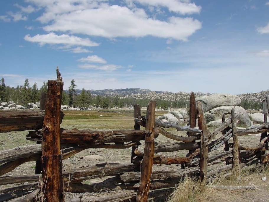 Rustic Cattle fences on the property