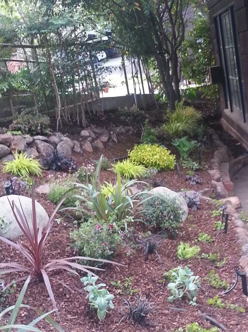 our front garden
