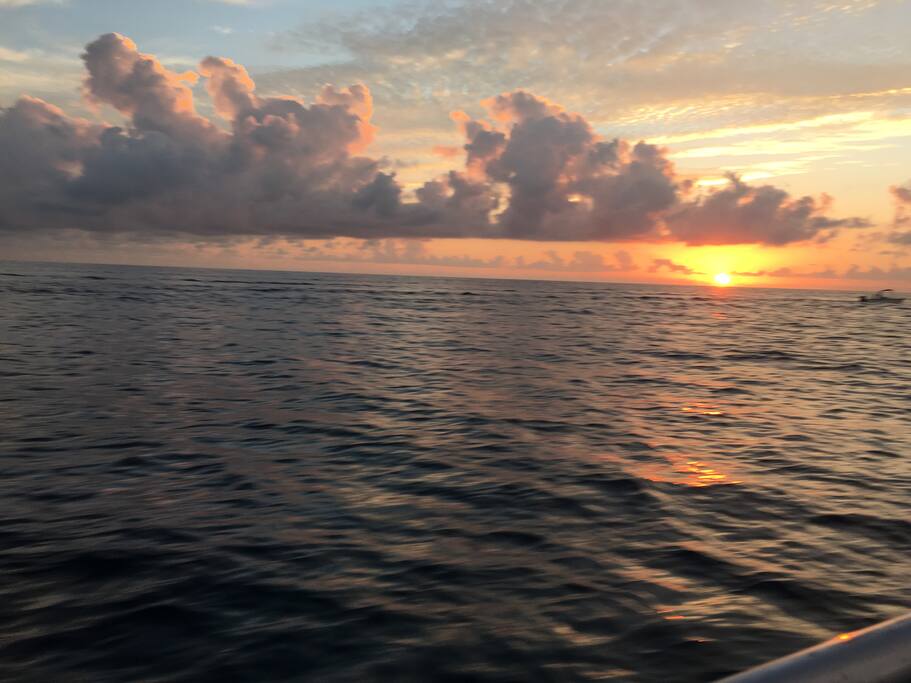 Sunrise