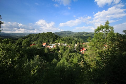 Panoramic View & Nature Escape - Ceas cu Cuc Cabin