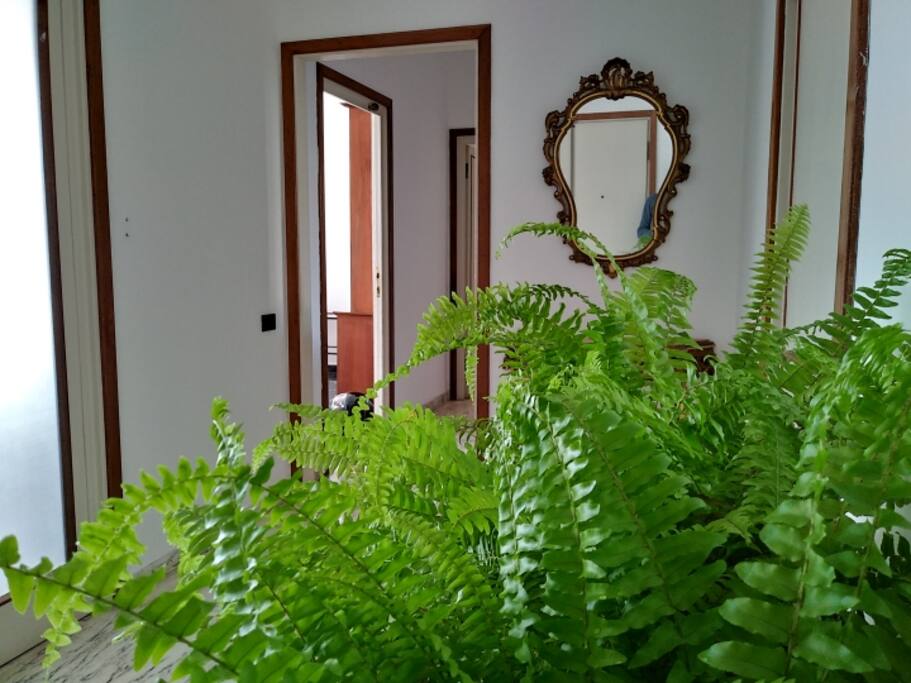 L'ingresso