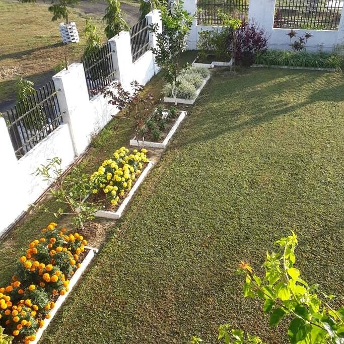 Lawn