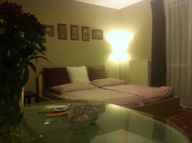 Sexy Studio - Plzeň (Pilsen) 100+ 5 Star Reviews!