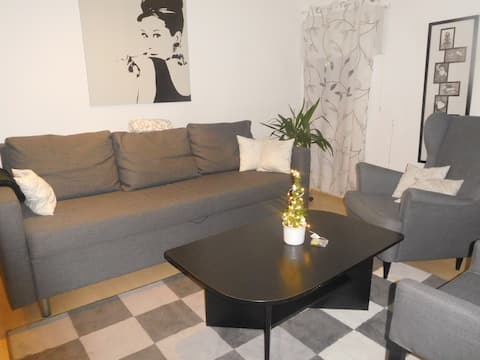 Hanau - near Frankfurt fair IAA apartment 4 person