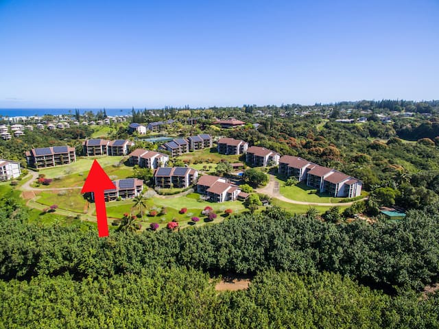 A Jewel in Paradise (a) ~ BBs Biz E HBR 4104/5/6 gallery image 2