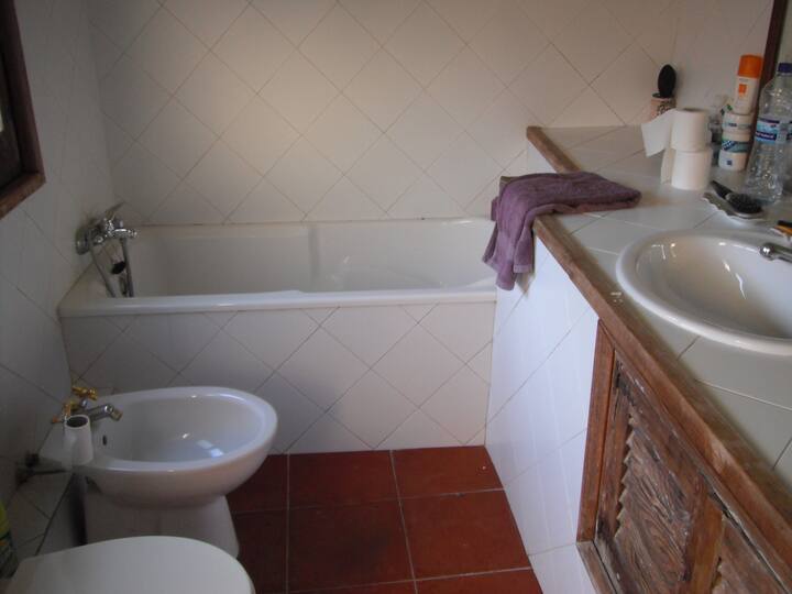 Traditional country house(Masia)