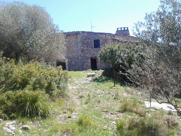 Traditional country house(Masia)