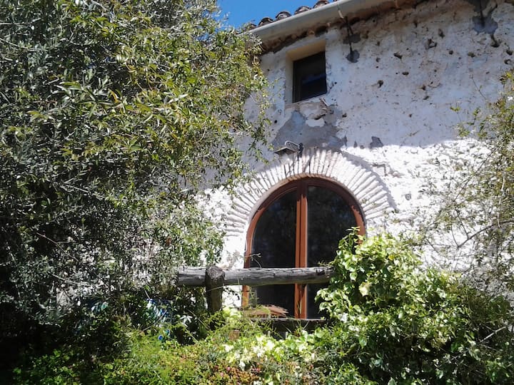 Traditional country house(Masia)