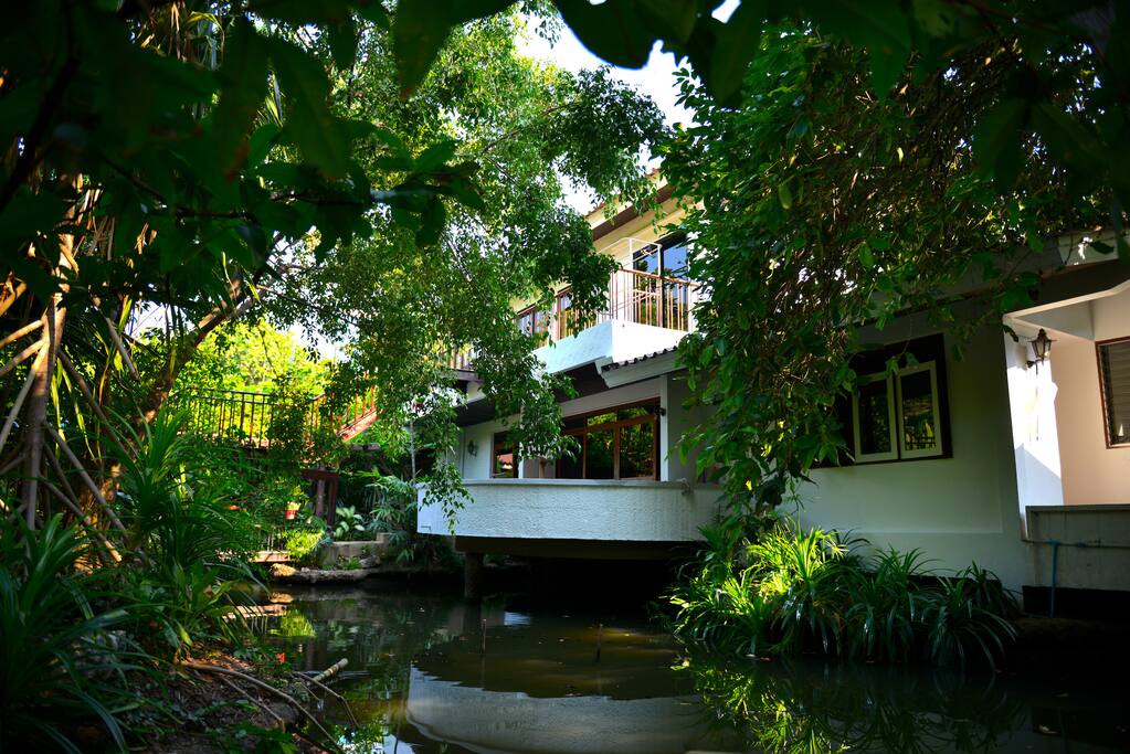 Home in a garden