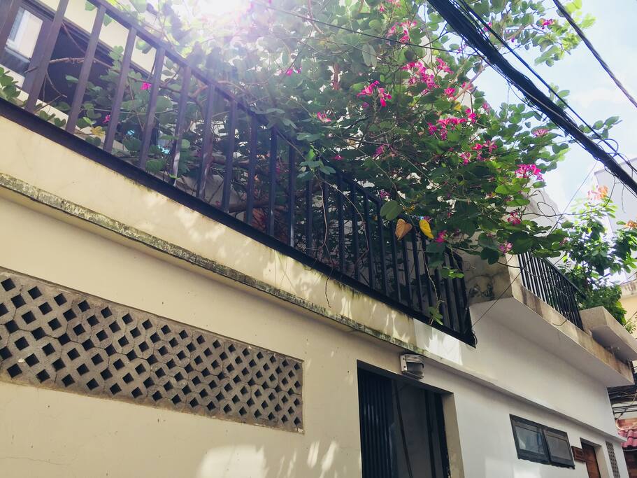 The house’s front. Green, bright and easy to spot in a calm alley.