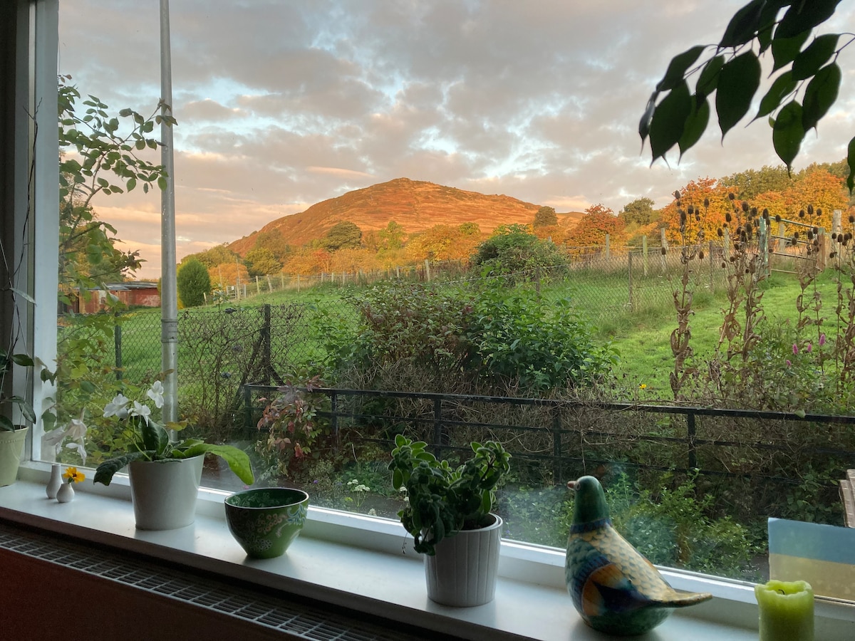 A scenic view from the window captures the rolling hills and lush greenery surrounding the property. Small potted plants line the window sill, complementing the vibrant landscape bathed in warm evening light.