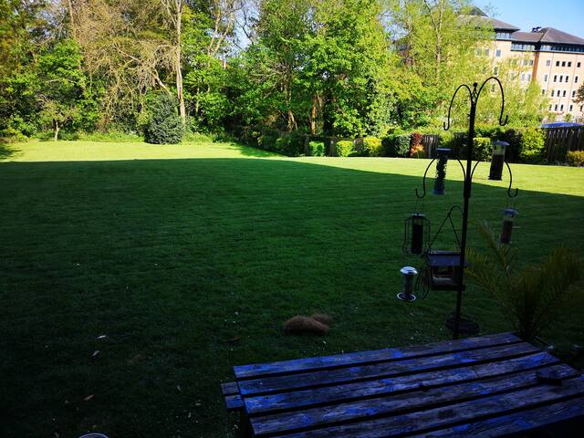 chris's place, southampton