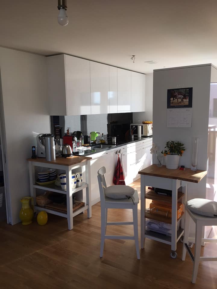 10 Best LongTerm Rentals In Zürich, Switzerland Updated 2024 Trip101