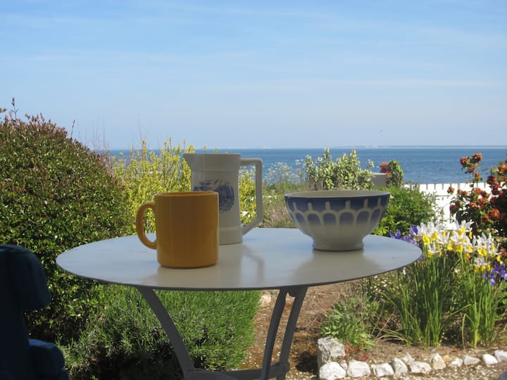 House, garden, sea view