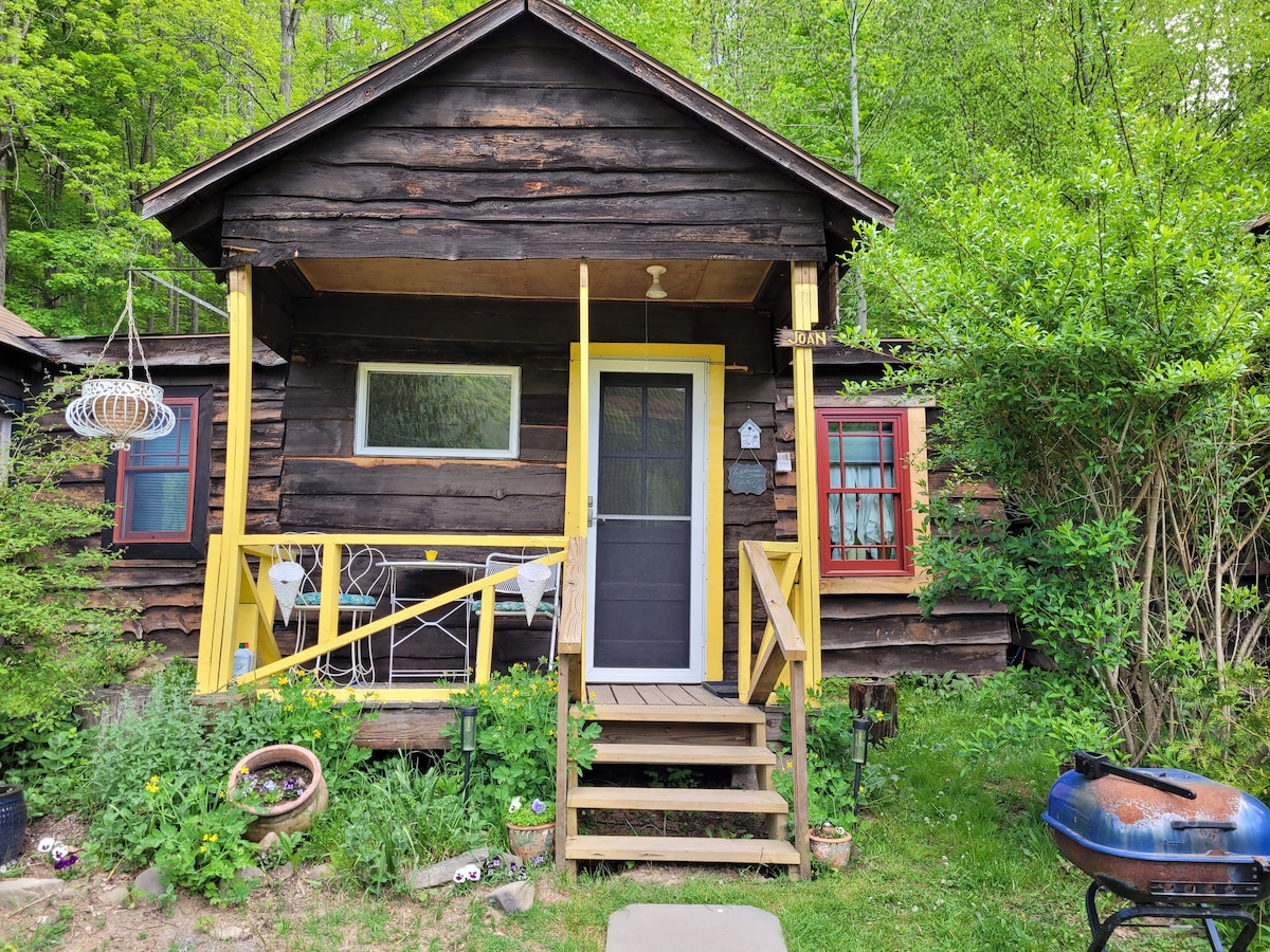 The rustic cabin features a wooden exterior, with a welcoming porch that includes two chairs and a small table. Colorful windows frame the entrance, and the surrounding garden is lush with flowering plants and greenery, enhancing the cozy outdoor appeal.