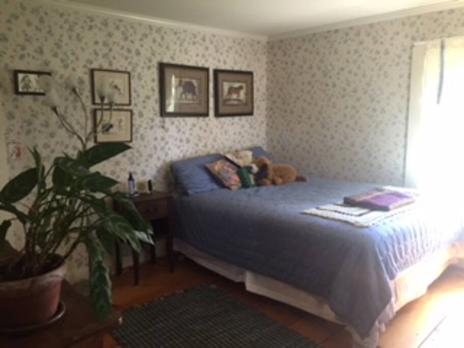 The Blue Room