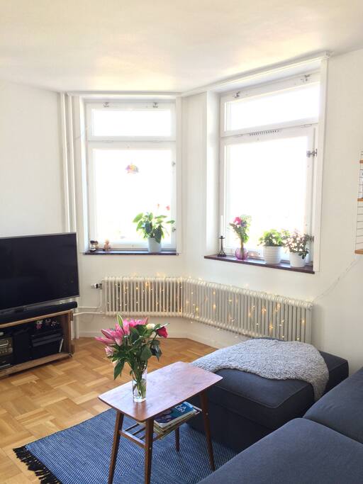 brand new smart TV and big windows.