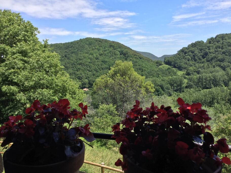 Vistas desde el salón-comedor