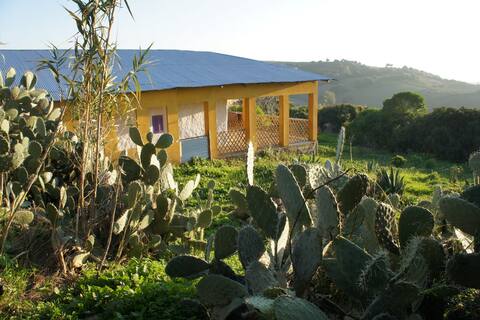 Family House, Pool, Sea & Countryside, Asilah