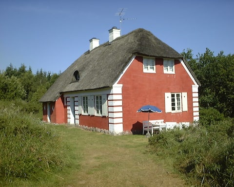 Classic Danish summer cottage