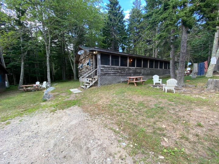Sherwood Forest Cabin 3 Cabins for Rent in Bristol, Maine, United States Airbnb
