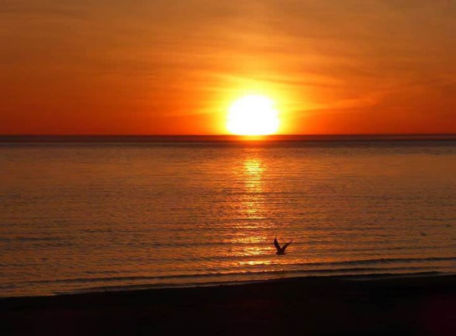 One of the Best Sunsets Around