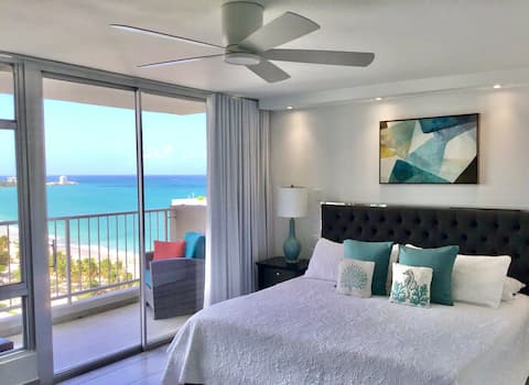 Breathtaking Views, Beachfront, Remodeled!