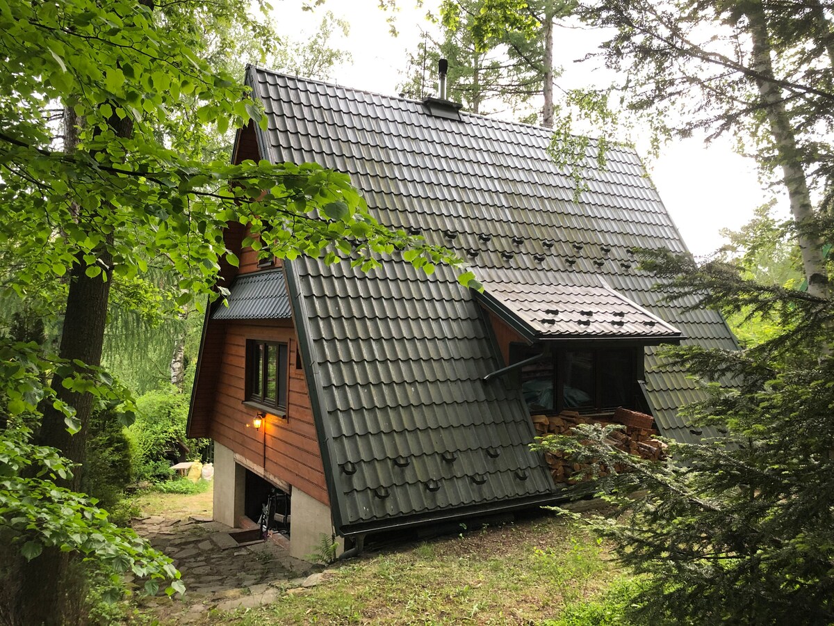A cabin surrounded by lush greenery features a sloped roof with dark shingles. Large windows provide views of the forest, while a stone pathway leads to the entrance. The wooden facade blends harmoniously with the natural surroundings, emphasizing privacy and tranquility.