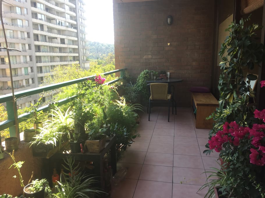 Amplia Terraza con jardín, un refugio en medio de la ciudad...