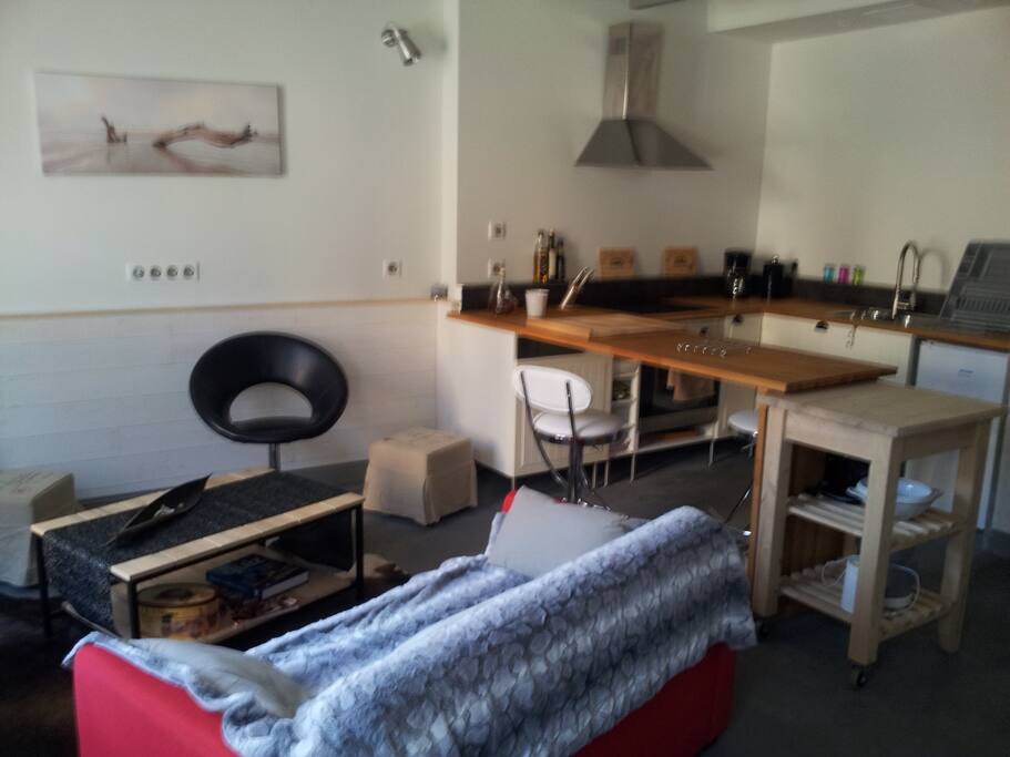séjour / cuisine américaine