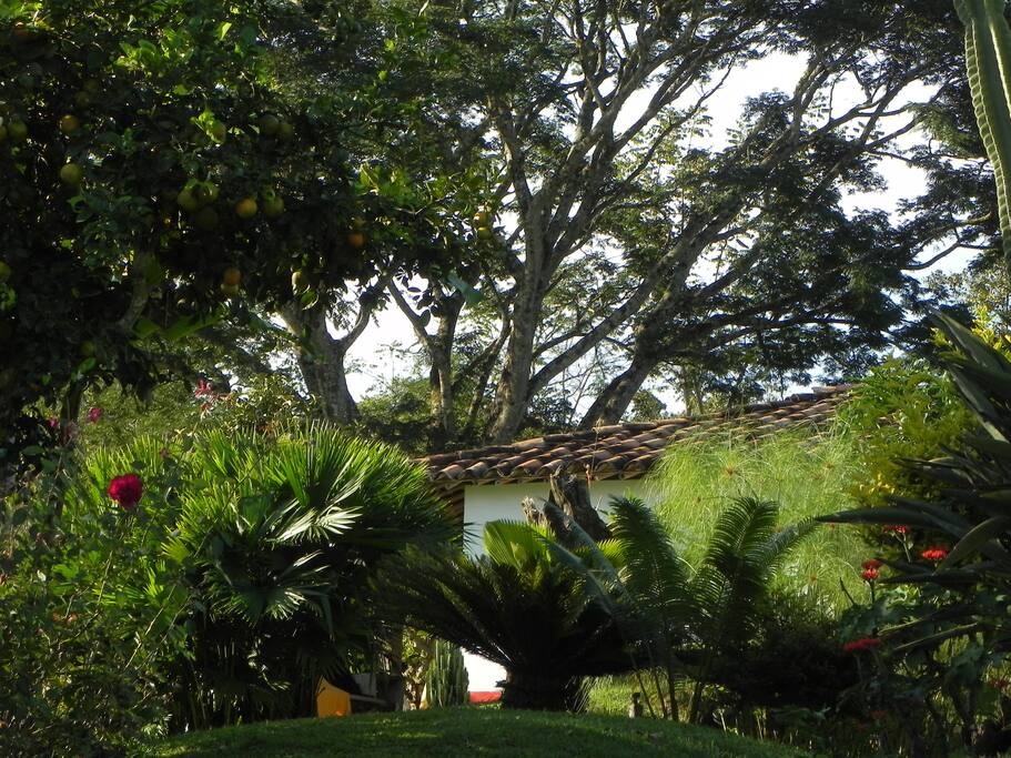 Cabaña