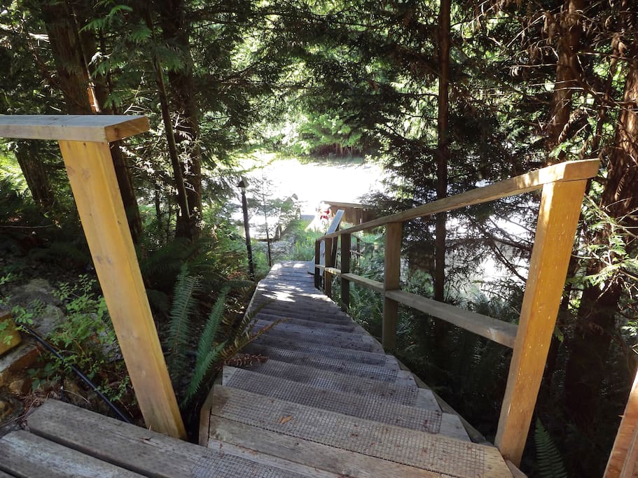 Stairs from the house to the parking area (65 steps)