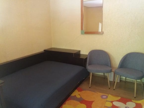A simple bedroom is furnished with a spacious bed covered in a dark blue blanket, accompanied by two modern chairs. A colorful area rug adds a touch of warmth to the space, while a mirror reflects light from the room's natural illumination.
