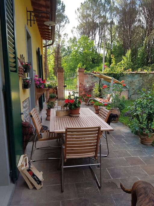 Giardino