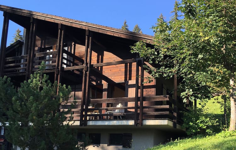 Ski/hiking chalet with mountain views