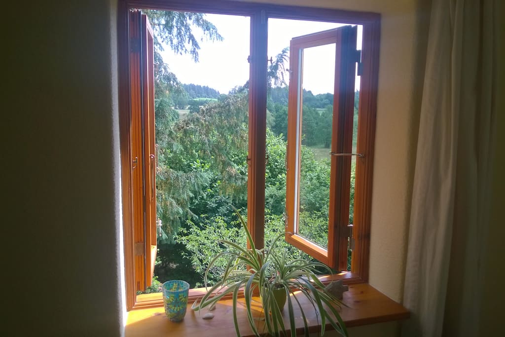 Genieße den wundervollen Ausblick nach Osten auf die Eider-Wiesen und den Wald.