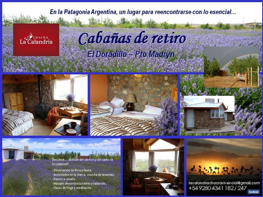 Allow yourself a moment of peace in the quiet contemplation of the Patagonian nature, the perfect antidote to the constant noise of busy and work-driven urban lives.