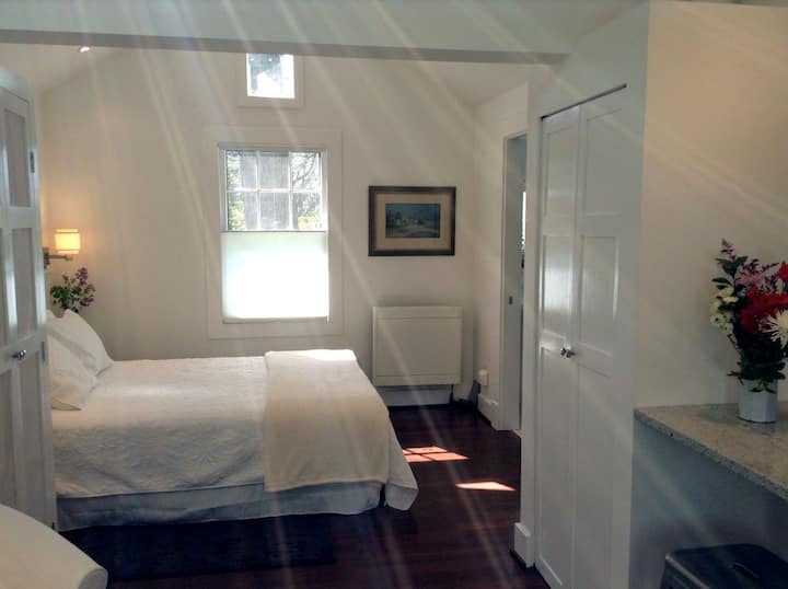 Jua la alasiri kupitia mwangaza wa anga unaopatikana na kamera.