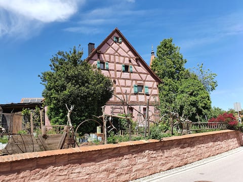 Large apartment in Franconian lake district with pool