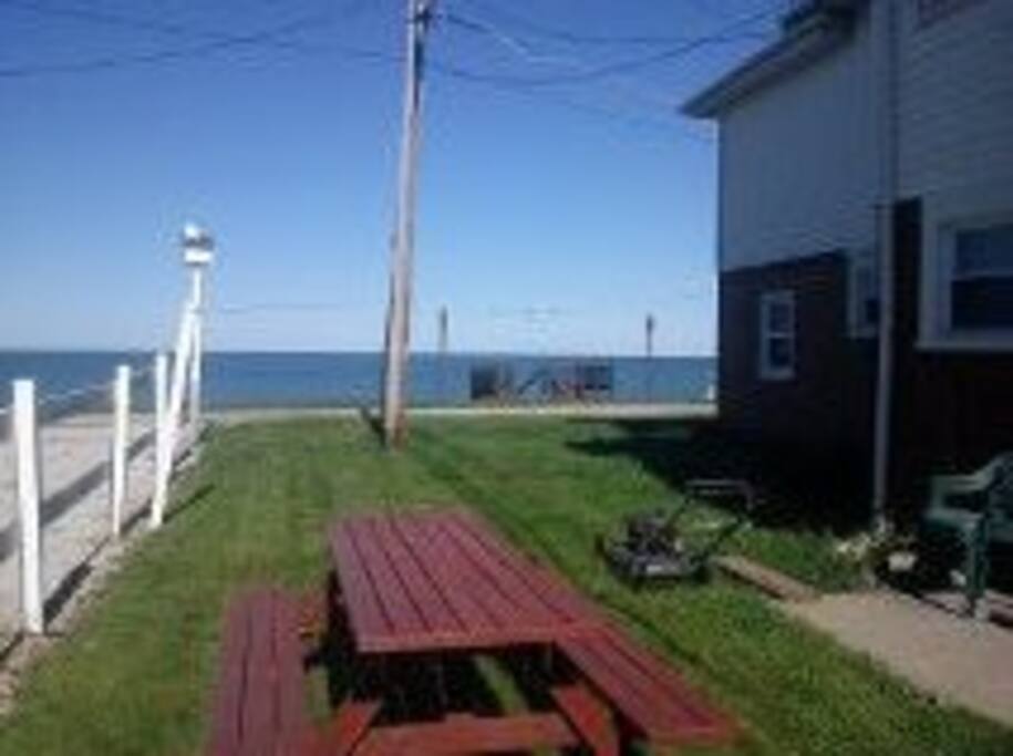 Great place to picnic.
